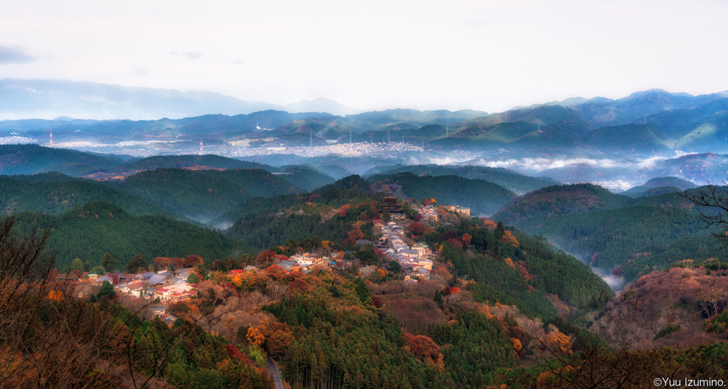 そこまで赤く無かった紅葉