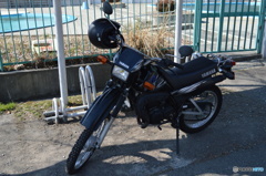 さらばDT
