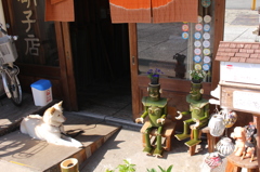 春のお留守番