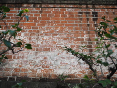 旧岩崎邸の塀