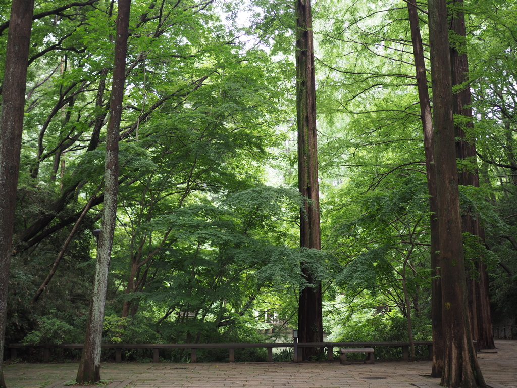 生田緑地