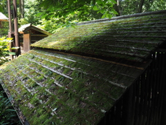 こけた日本民家の屋根