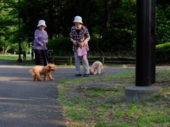 都立桜ガ丘公園PHOTO 4 お散歩