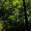 平山城址公園PHOTO 5