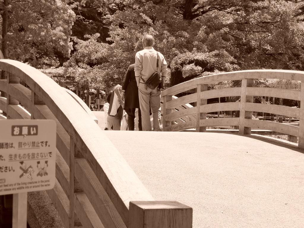 薬師池公園PHOTO 2