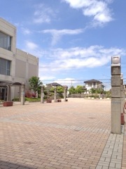 母校