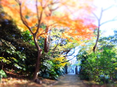 四季の森公園