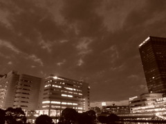 横浜Night14