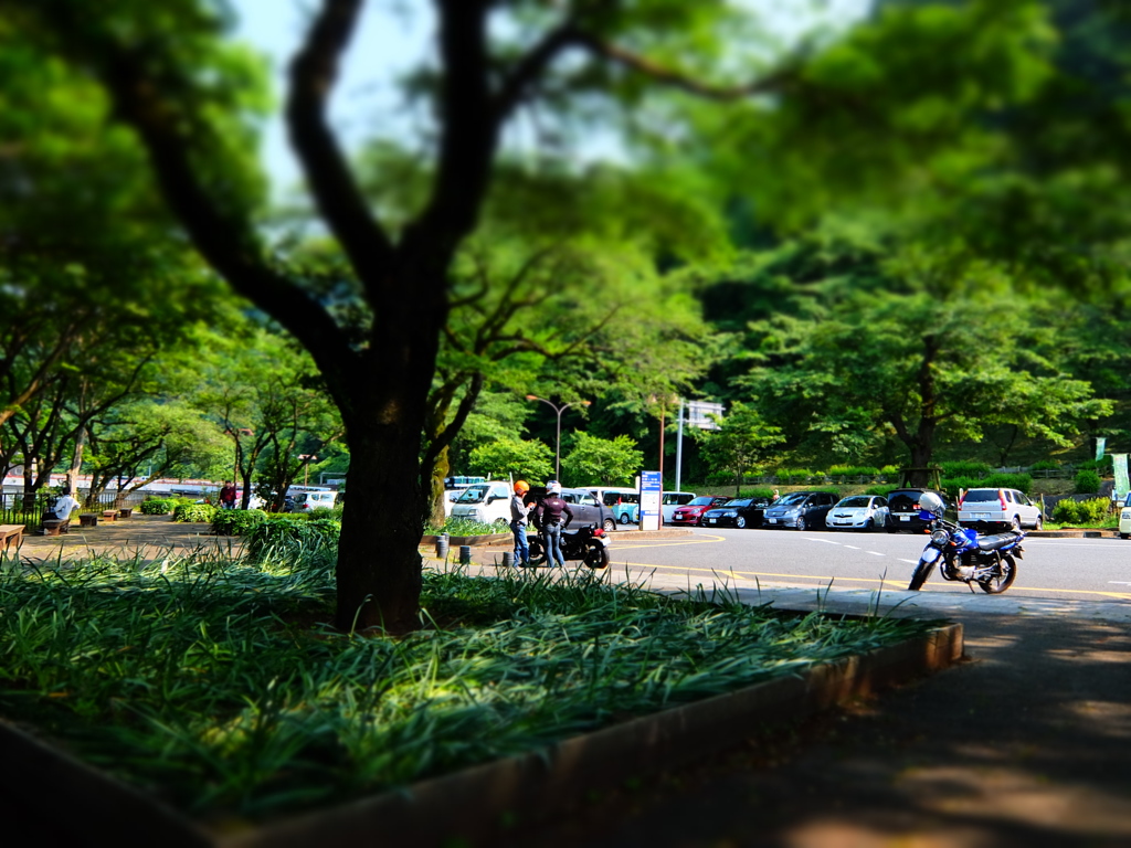 津久井湖城山公園 PHOTO 1