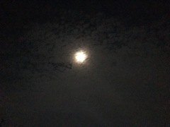 夜空♫