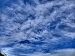 青空5 ♫