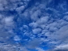 朝空♫