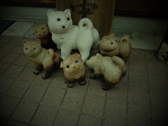 準備中看板ねこ♫