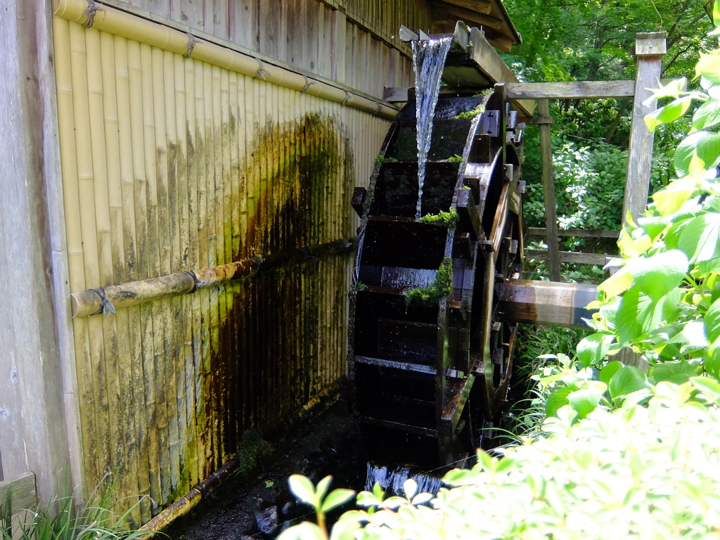 薬師池公園PHOTO 15 水車