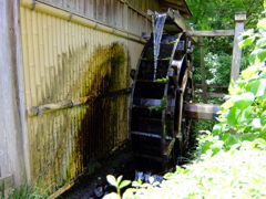 薬師池公園PHOTO 15 水車