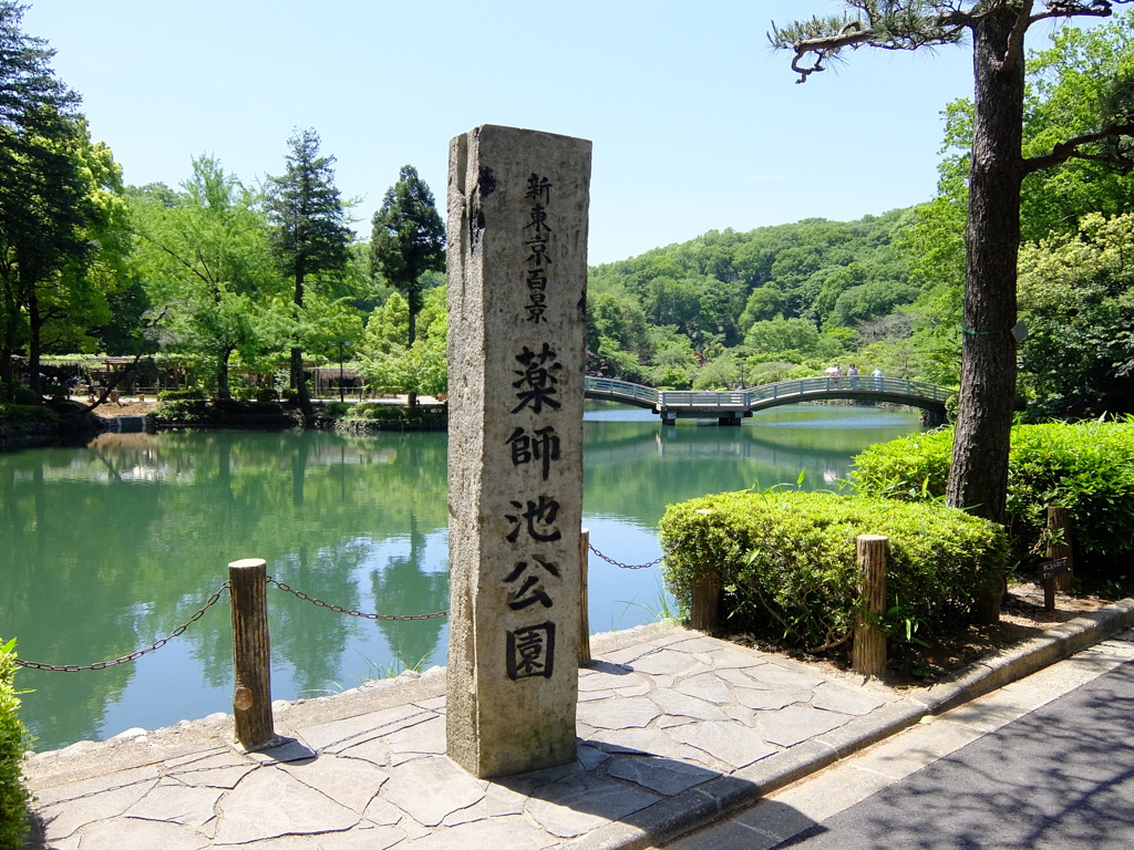 薬師池公園PHOTO 1
