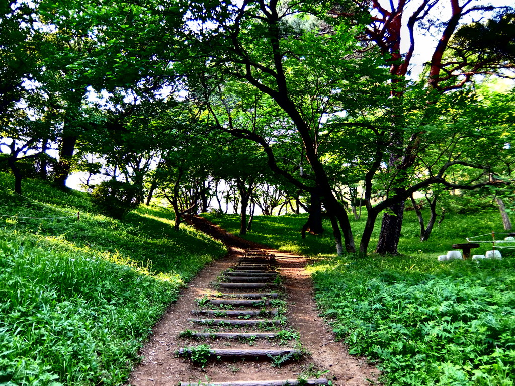 都立桜ガ丘公園PHOTO 3