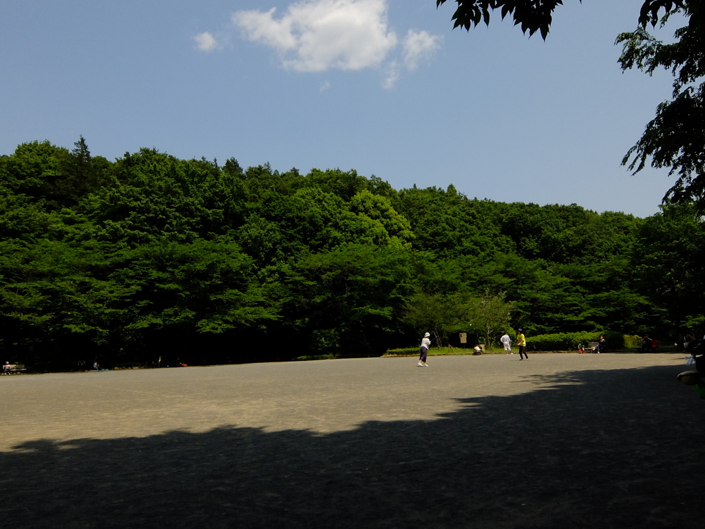 芹が谷公園PHOTO 3