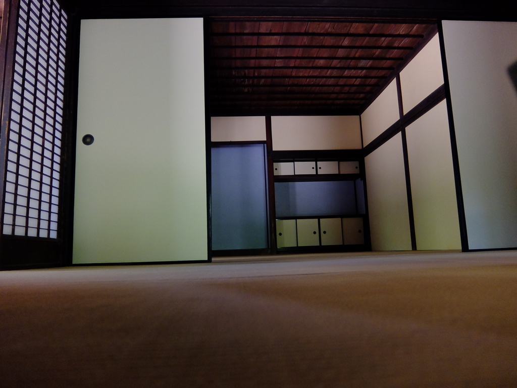 薬師池公園PHOTO 13