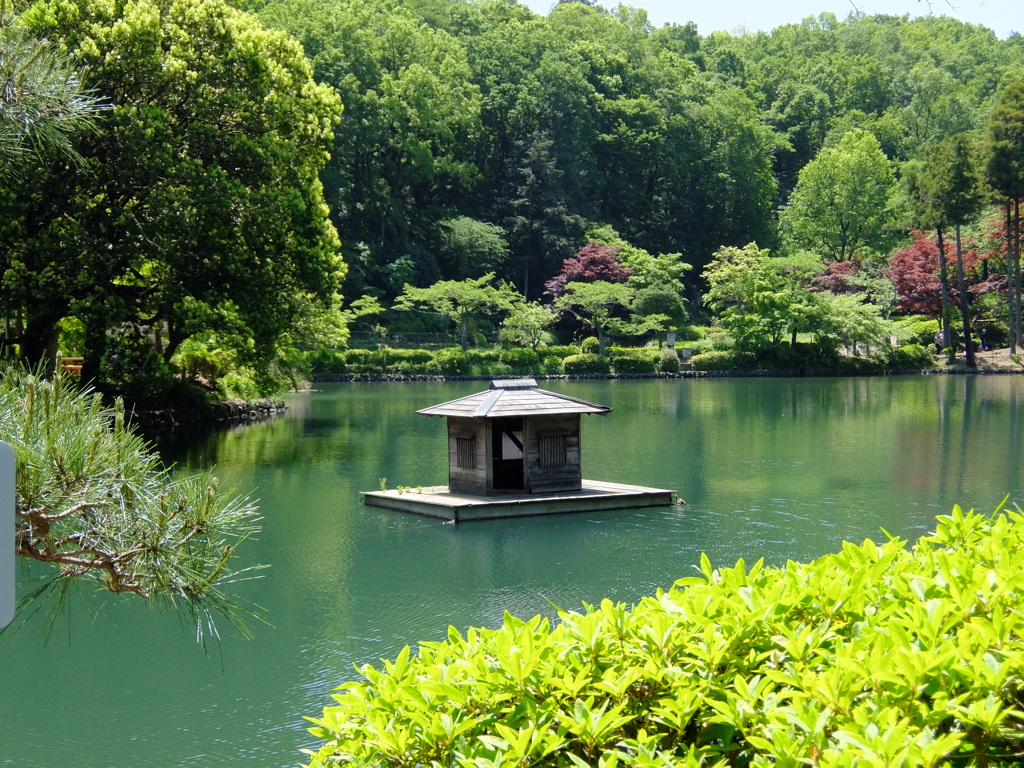 薬師池公園PHOTO 3