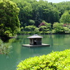薬師池公園PHOTO 3