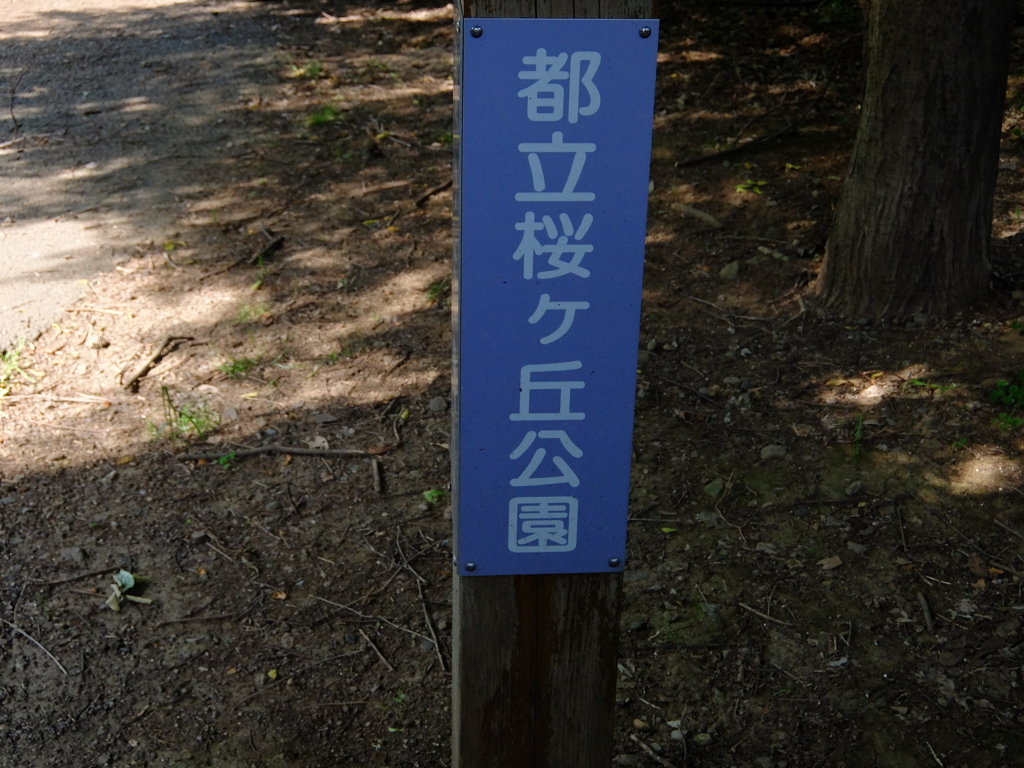 都立桜ガ丘公園PHOTO 1