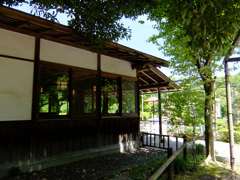 薬師池公園PHOTO 6