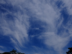 青空7 ♫