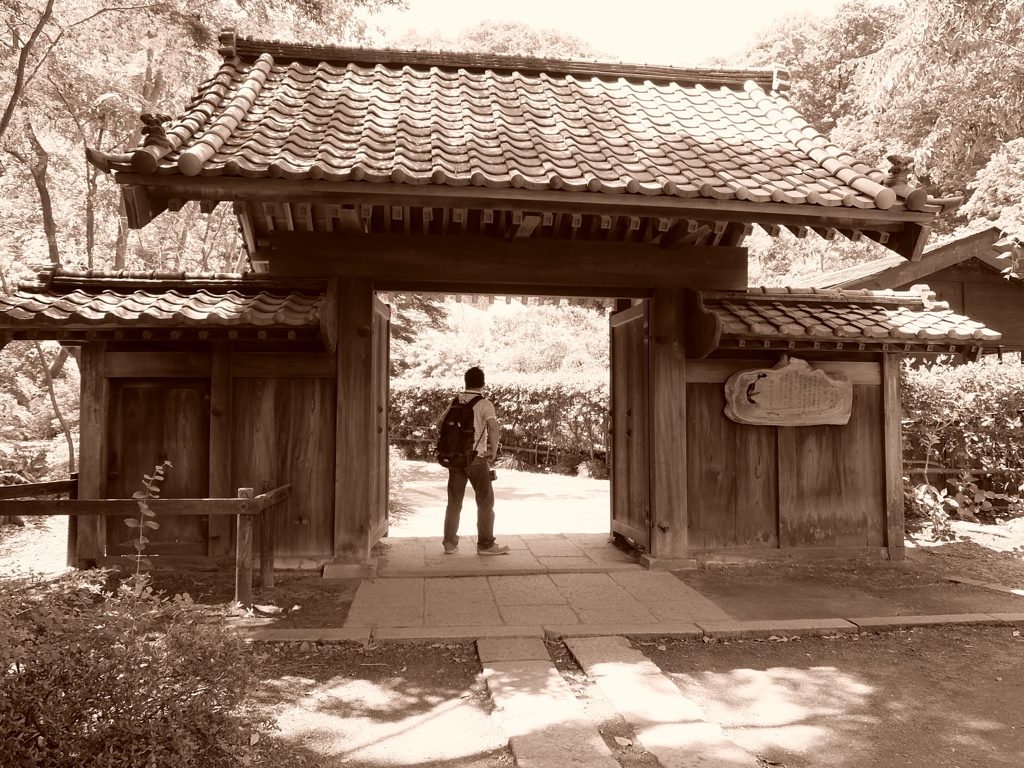 薬師池公園PHOTO 10〜