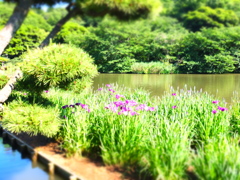 三渓園