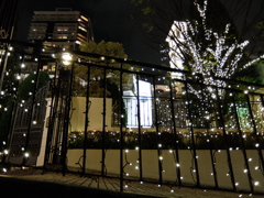 横浜Night 8
