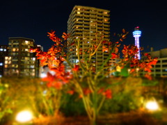 元町アメリカ山公園イブの夜♫