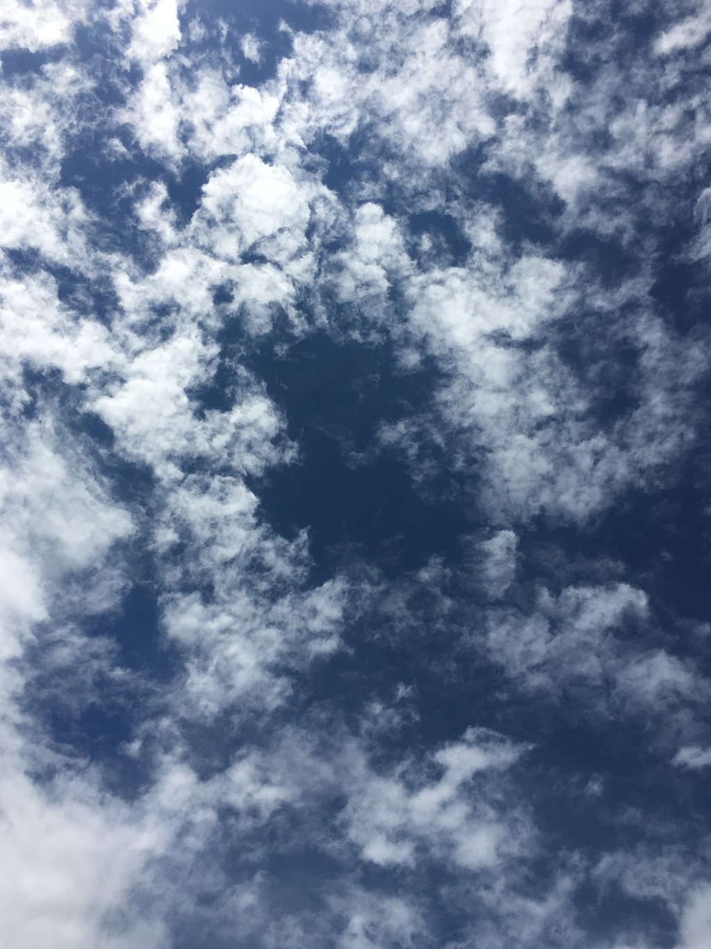 旭区青空1 ♫