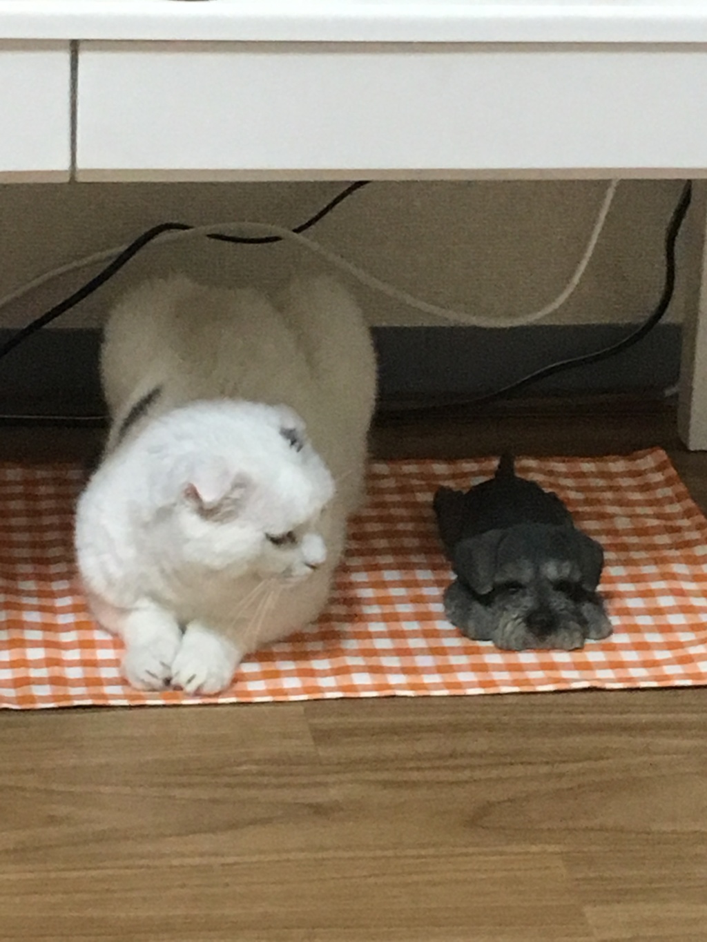 あめちゃん#30