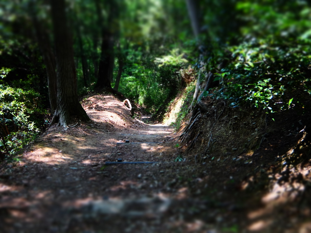 平山城址公園PHOTO 2