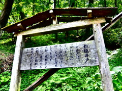 薬師池公園PHOTO 18