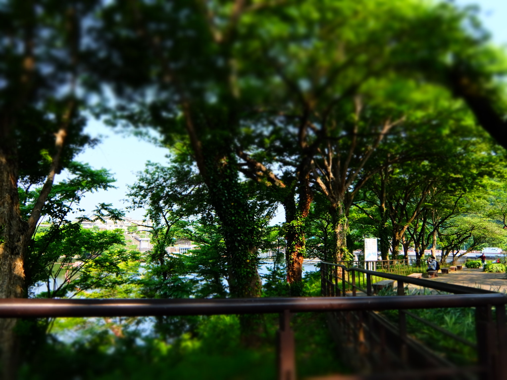 津久井湖城山公園PHOTO 2