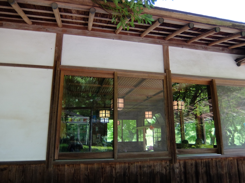 薬師池公園PHOTO 5