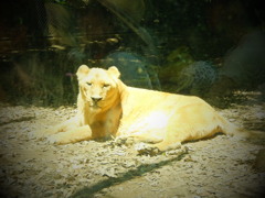 横浜動物園ズーラシア