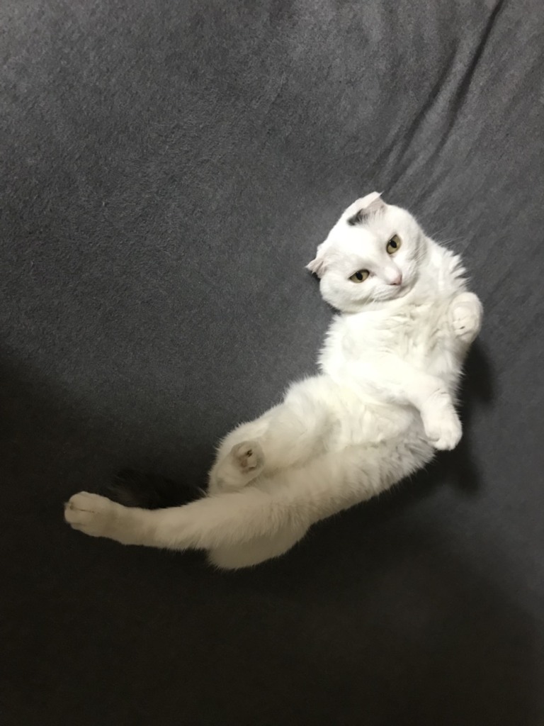 あめちゃん#16