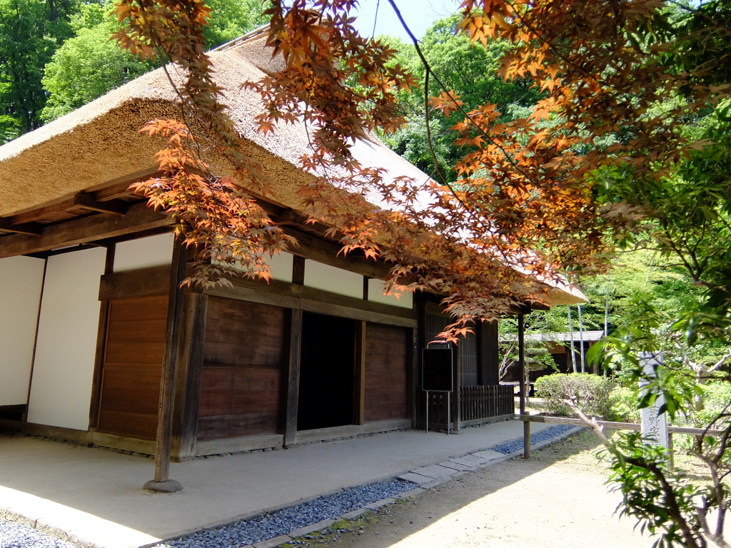 薬師池公園PHOTO 11