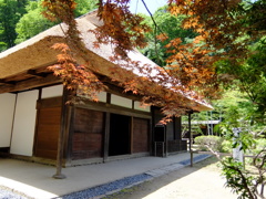 薬師池公園PHOTO 11