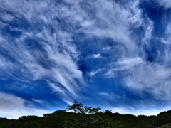 青空4 ♫