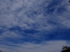 青空8 ♫