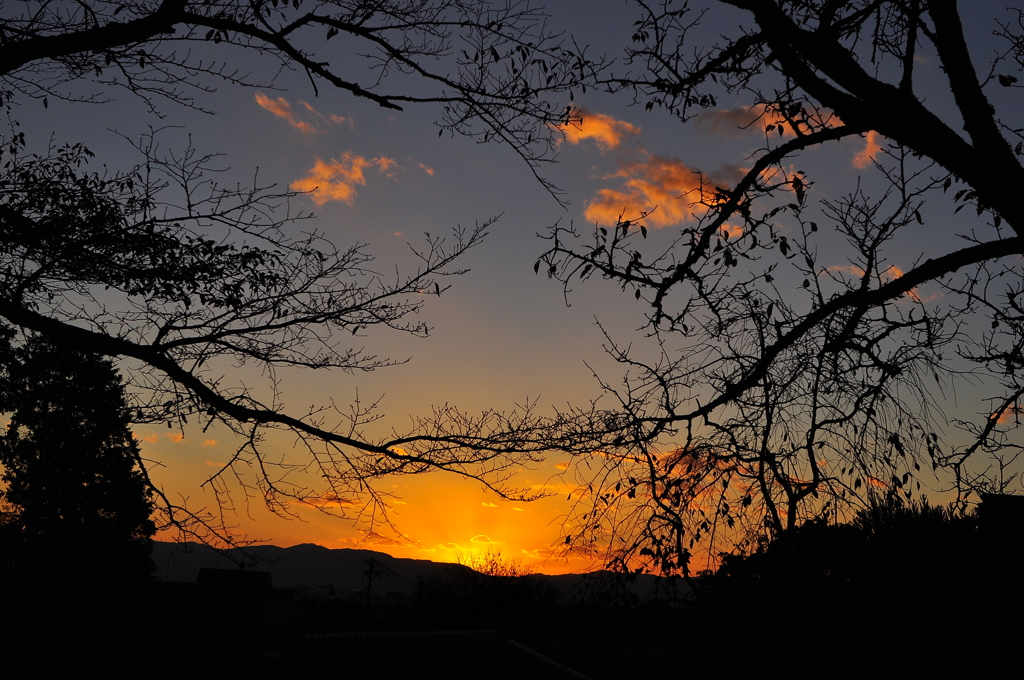 DSC_0237夕焼け