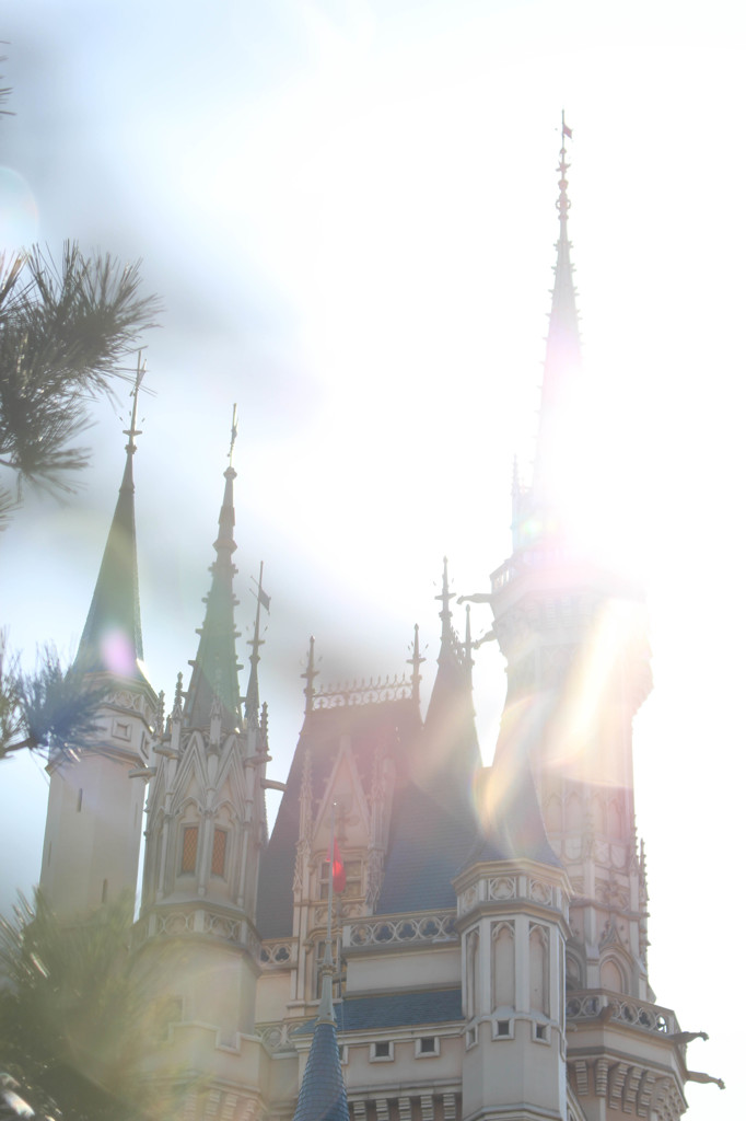 kirari ✴︎ Cinderella"