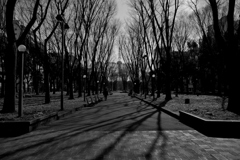 昼下がりの久屋大通公園