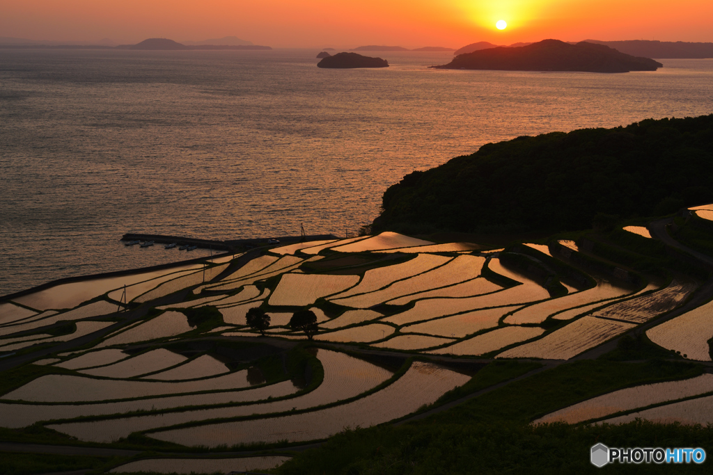 棚田の夕べ