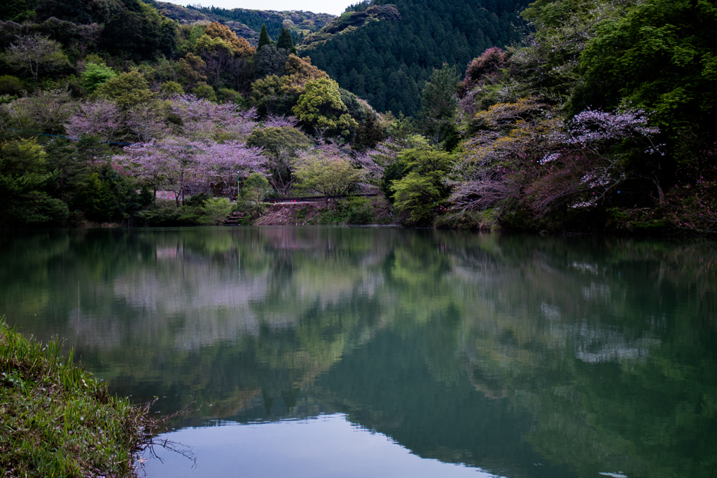 観音ヶ池