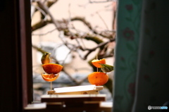 餌箱へ仲良しさん来訪